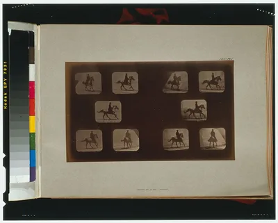 Horses. Cantering, California, Palo Alto, 1881