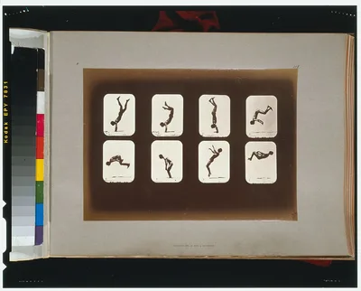 Athletes. Irregular, California, Palo Alto, 1881