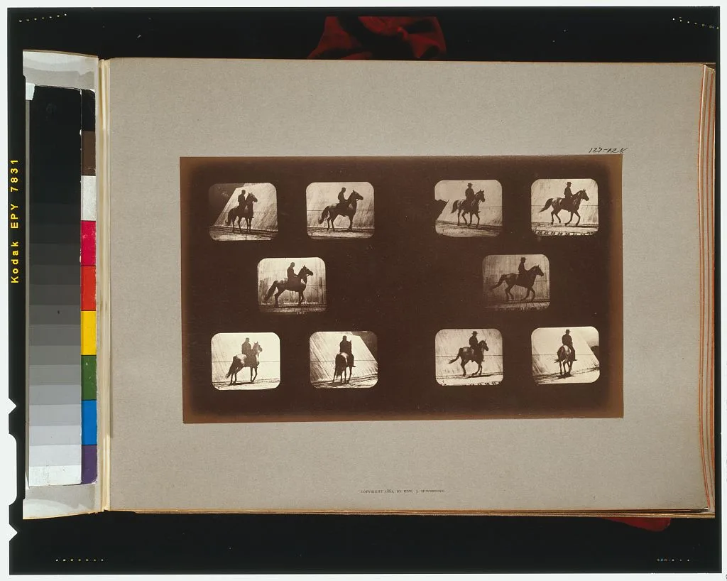Horses. Cantering, California, Palo Alto, 1881
