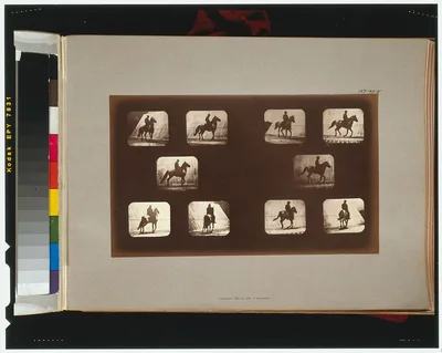Horses. Cantering, California, Palo Alto, 1881