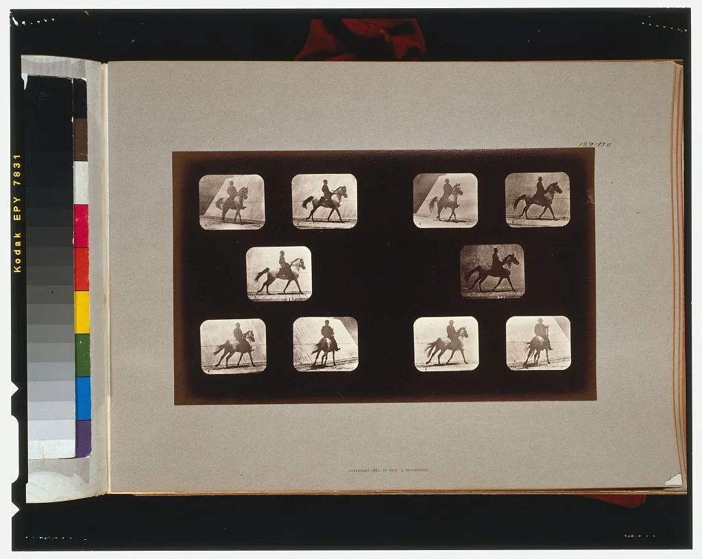 Horses. Cantering, California, Palo Alto, 1881