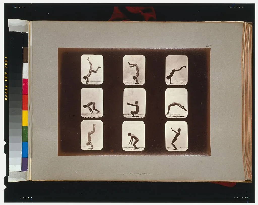 Athletes. Flip flap, California, Palo Alto, 1881