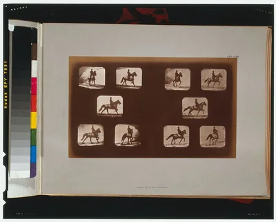 Horses. Trotting, California, Palo Alto, 1881