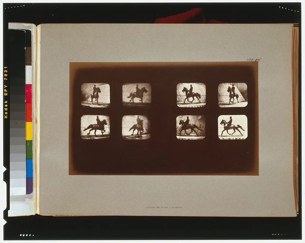Horses. Trotting, California, Palo Alto, 1881