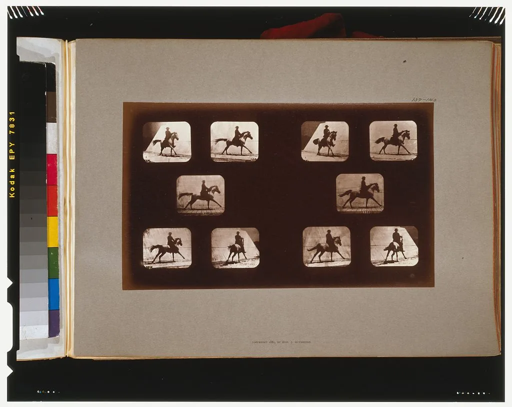 Horses. Running, California, Palo Alto, 1881