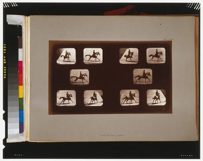 Horses. Running, California, Palo Alto, 1881