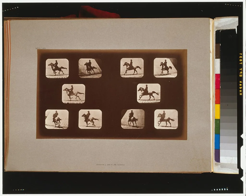 Horses. Running, California, Palo Alto, 1881