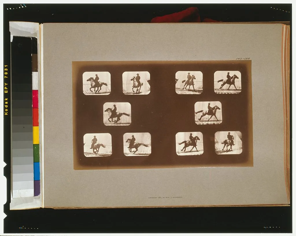 Horses. Running, California, Palo Alto, 1881