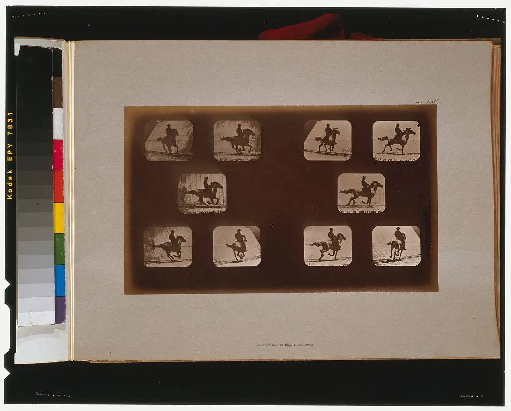 Horses. Running, California, Palo Alto, 1881