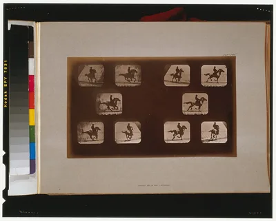 Horses. Running, California, Palo Alto, 1881