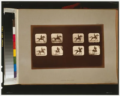 Horses. Running, California, Palo Alto, 1881