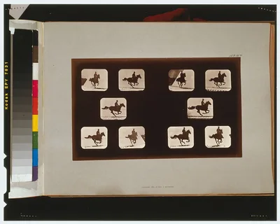 Horses. Running, California, Palo Alto, 1881