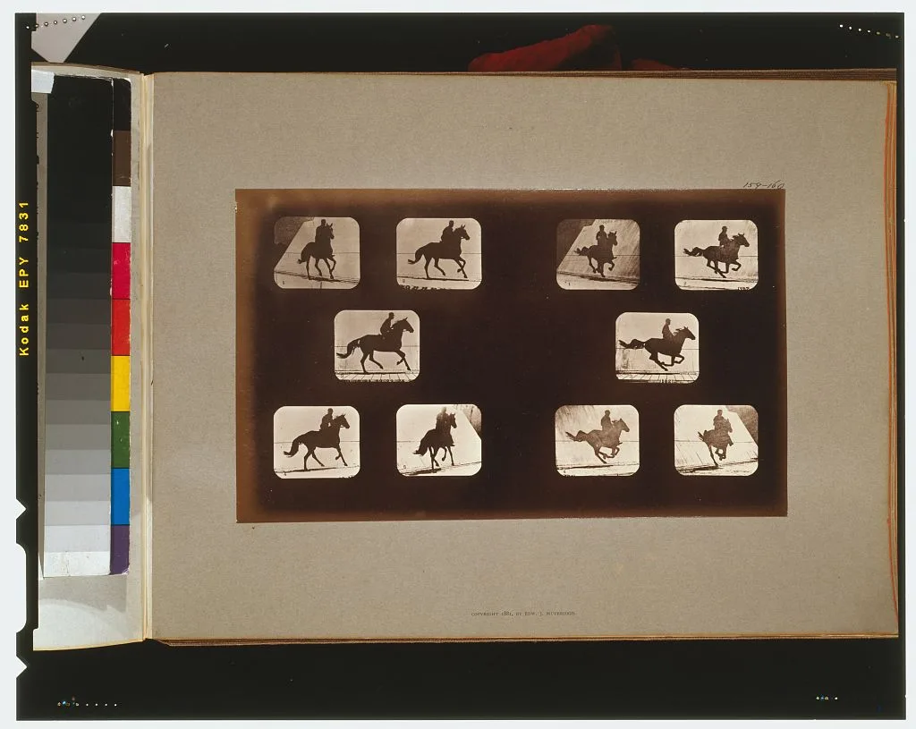 Horses. Running, California, Palo Alto, 1881