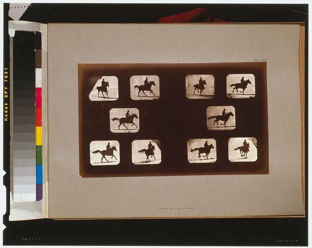 Horses. Running, California, Palo Alto, 1881