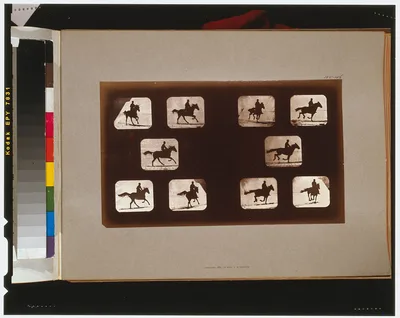 Horses. Running, California, Palo Alto, 1881