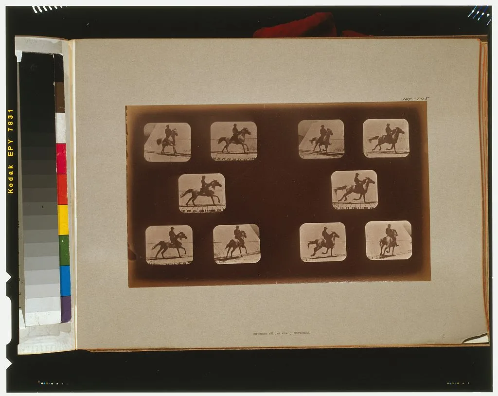 Horses. Running, California, Palo Alto, 1881
