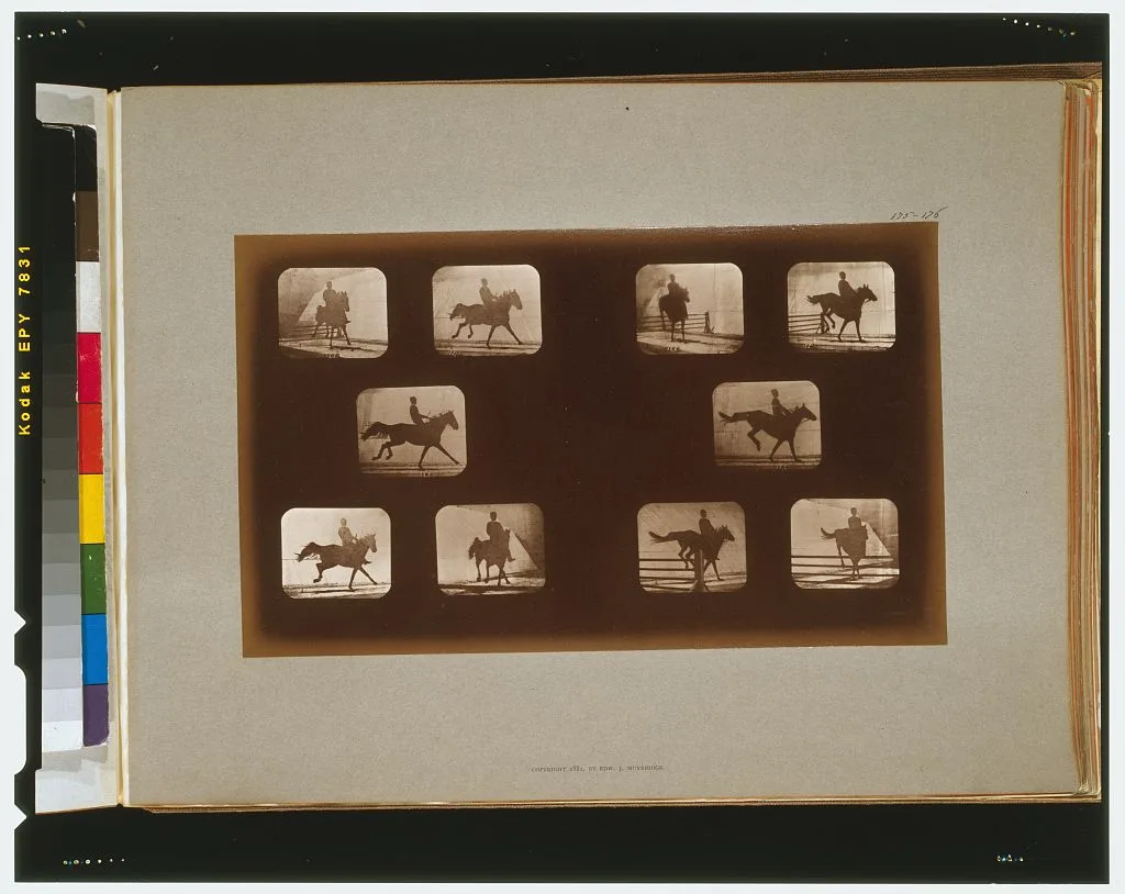 Horses. Leaping, California, Palo Alto, 1881