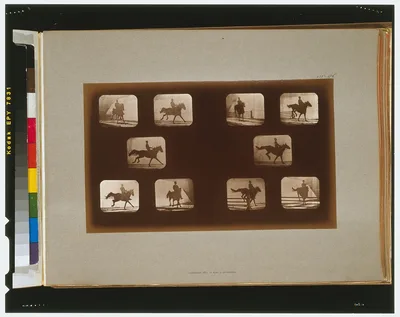 Horses. Leaping, California, Palo Alto, 1881