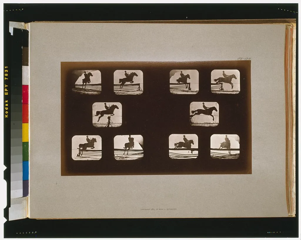 Horses. Leaping, California, Palo Alto, 1881