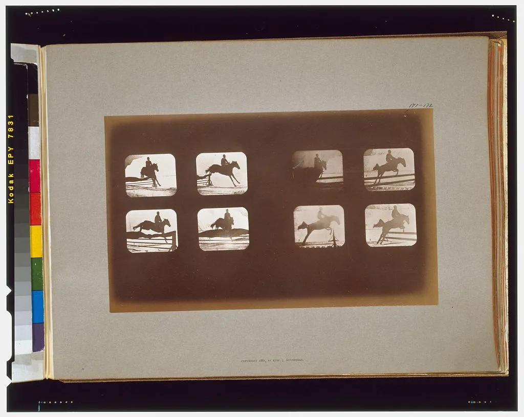 Horses. Leaping, California, Palo Alto, 1881