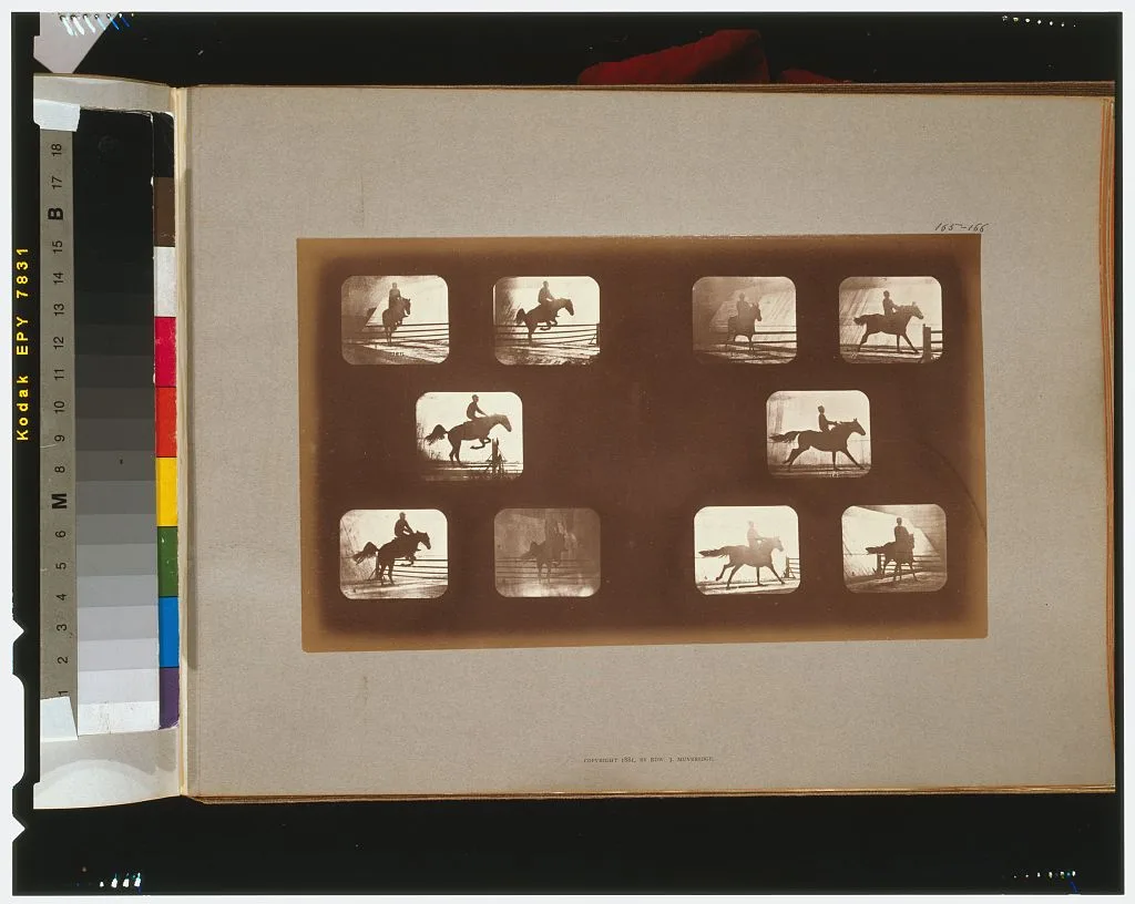 Horses. Leaping, California, Palo Alto, 1881