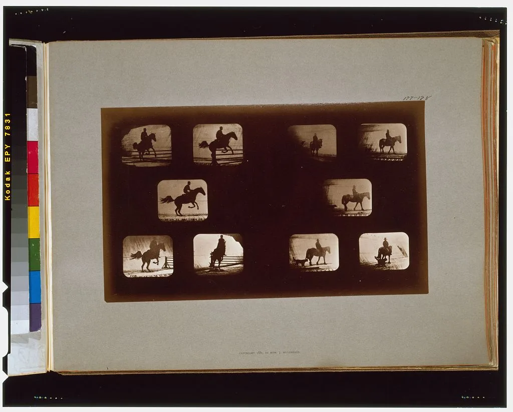 Horses. Leaping--Horses. Walking, California, Palo Alto, 1881