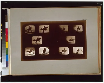 Horses. Leaping--Horses. Walking, California, Palo Alto, 1881