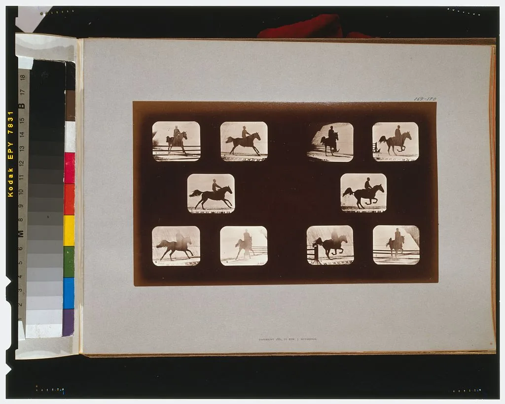Horses. Leaping, California, Palo Alto, 1881