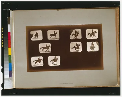 Horses. Running--Horses. Running, California, Palo Alto, 1881