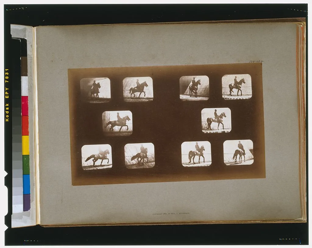 Horses. Trotting--Horses. Walking, California, Palo Alto, 1881