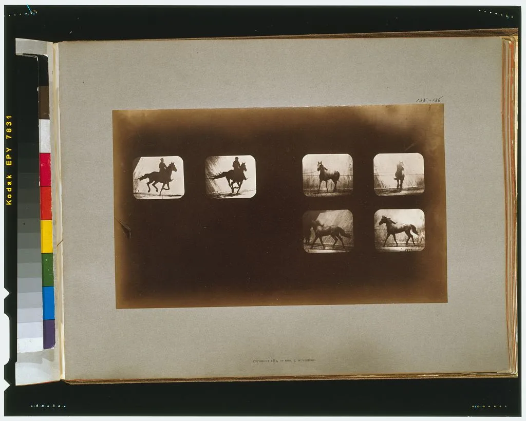 Horses. Running--Horses. Cantering, California, Palo Alto, 1881