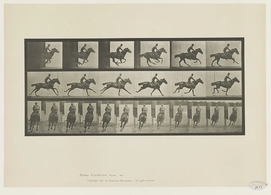 Animal locomotion, 1887