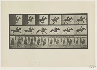 Animal locomotion, 1887
