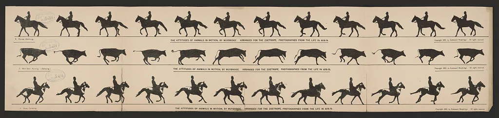 The attitudes of animals in motion, by Muybridge, arranged for the…, 1882