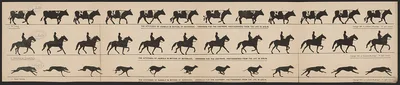 The attitudes of animals in motion, by Muybridge, arranged for the…, 1882