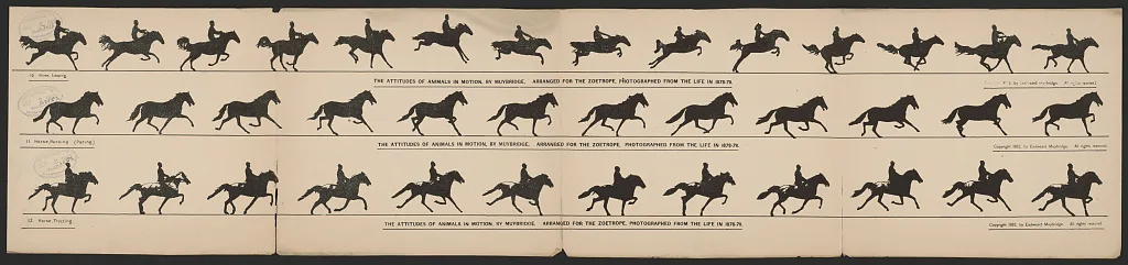 The attitudes of animals in motion, by Muybridge, arranged for the…, 1882