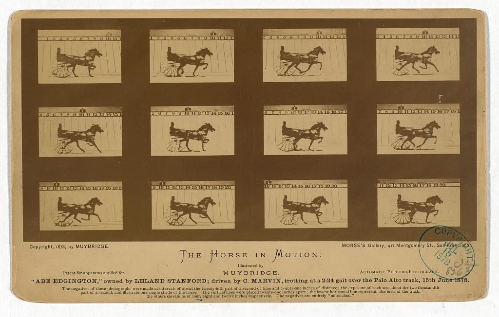 The Horse in motion. "Abe Edgington," owned by Leland Stanford;…, California, Palo Alto, 1878