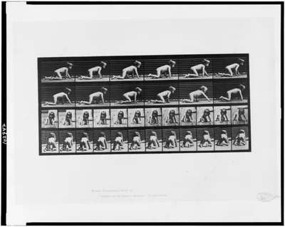 Animal locomotion, 1887