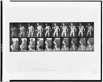 Animal locomotion, 1887