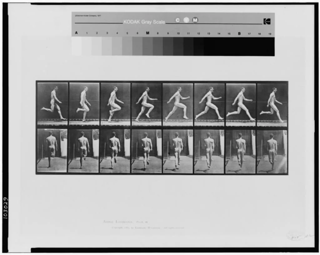 Animal locomotion, 1887