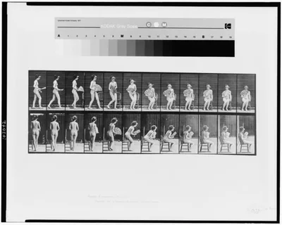 Animal locomotion, 1887