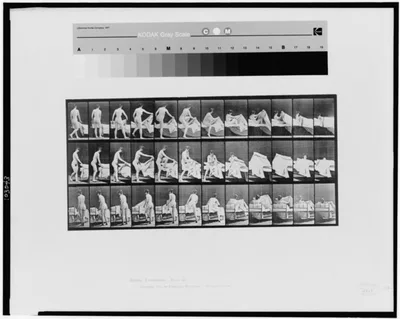 Animal locomotion, 1887