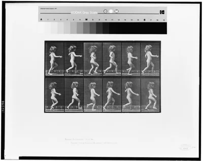 Animal locomotion, 1887
