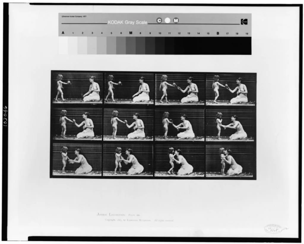 Animal locomotion, 1887