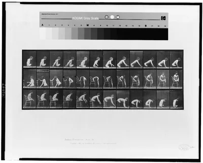 Animal locomotion, 1887