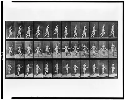 Animal locomotion, 1887