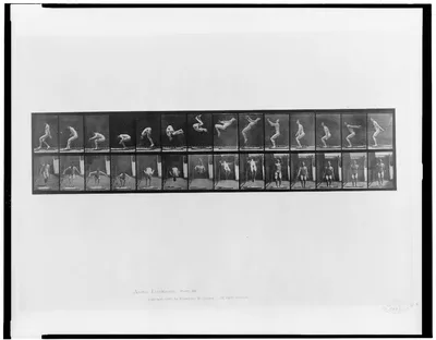 Animal locomotion, 1887