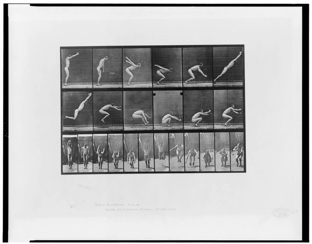 Animal locomotion, 1887
