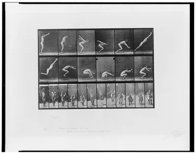 Animal locomotion, 1887