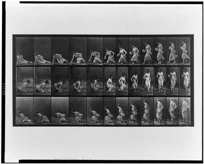 Animal locomotion, 1887